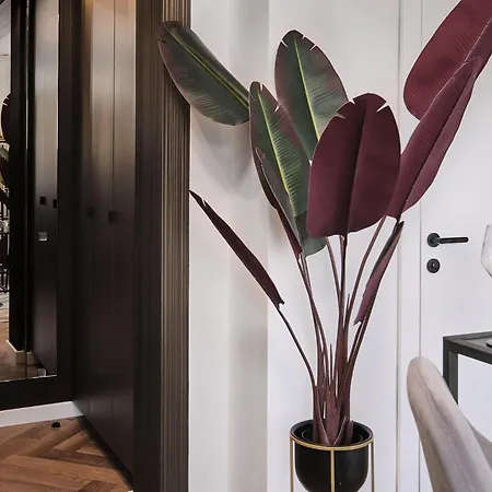 Mia - Narodowy * Warsaw